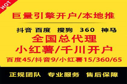 SEM推广公司成功案例：助力企业实现品牌多元化发展